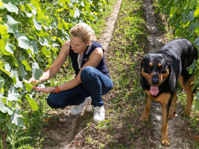 Portes ouvertes manoir de la mazeraie