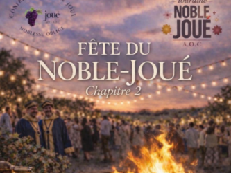 fete du noble joué - chapitre 2